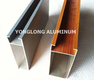 Profils en aluminium multifonctionnels de mur rideau pour la forme de rectangle de décoration